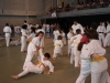 2012-07-01-fete-metz-judo-0060