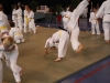 2012-07-01-fete-metz-judo-0064