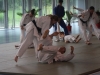 2012-07-01-fete-metz-judo-0073