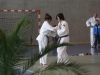 2012-07-01-fete-metz-judo-0075