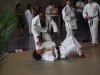 2012-07-01-fete-metz-judo-0081